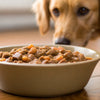 Is Wet Food Easier to Digest for Dogs? Understanding the Benefits and Considerations