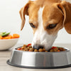 Is Wet Food Good for Dogs? Exploring the Benefits, Drawbacks, and Everything You Need to Know