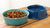 Is Wet Food Good for Dogs with Diarrhea? Everything You Need to Know