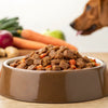 Is Wet Food Healthy for Dogs? Understanding the Benefits and Considerations