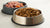 Is Wet Food or Dry Food Better for Dogs? Exploring Your Options