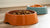 Is Wet or Dry Dog Food Healthier? Exploring the Best Options for Your Furry Friend