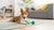 Kibble vs Fresh Food: Understanding the Best Diet for Your Dog