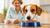 Knowing When to Switch to Adult Food for Dogs: A Comprehensive Guide for Pet Parents-141222281455