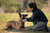 Managing and Preventing Belgian Malinois Health Problems