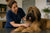 Managing Common Briard Health Problems and Wellness