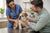 Managing Common Bulldog Health Problems