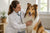 Managing Common Collie Health Problems for a Healthy Life