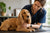 Managing Common English Cocker Spaniel Health Problems
