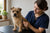 Managing Common Norwich Terrier Health Problems