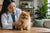 Managing Common Pomeranian Health Problems Through Proactive Care