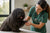 Managing Common Puli Health Problems