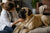 Managing Mastiff Health Problems Through Better Care