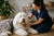 Managing Old English Sheepdog Health Problems Through Care and Routine