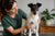 Managing Smooth Fox Terrier Health Problems