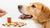 Mastering the Art of Getting Your Dog to Eat a Pill Without Food-140130156783