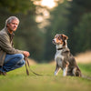 Mastering the Art of How to Train a Dog to Stay: A Comprehensive Guide