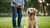 Mastering the Art of Training Your Golden Retriever: A Comprehensive Guide