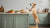 Mastering Your Kitchen: How to Get Your Dog to Stop Eating Food Off the Counter