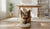 How to Stop Destructive Behavior in Dogs: A Comprehensive Guide for Pet Owners