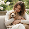 Should You Give Puppies Wet Food?