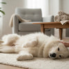 Can My 8 Month Old Puppy Eat Adult Food?