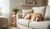 When Can You Switch Puppy to Adult Food: A Timing Guide-141707509999