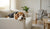 How to Switch Puppy to Adult Food for Long-Term Health