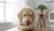 Should I Give My Puppy Wet and Dry Food? A Balanced Approach-141693944047