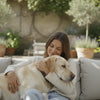 Should Puppies Only Eat Dry Food