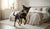 Understanding What Ingredients to Avoid in Dog Food for Skin Allergies