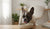 How to Transition Puppy Food to Adult Food