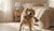 When Do I Start Giving My Puppy Adult Food-141707804911