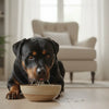 How Much Dry Food to Feed a Labrador Puppy