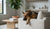 When Can Puppies Move to Adult Food