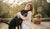When Do You Change Puppy Food to Adult Food?-141708263663