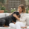 When Can I Give My Puppy Dry Dog Food?