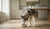 How Long Should My Dog Eat Dry Puppy Food? A Comprehensive Guide for Pet Parents-141604094191