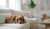 When Can Puppies Eat Hard Dry Food? A Complete Guide for New Pup Parents-141605732591