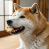 Natural Teeth Cleaning Treats for Dogs: The Ultimate Guide to Keeping Your Pup's Smile Bright