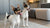 Navigating Brussels Griffon Health Problems: What Every Owner Should Know