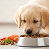 Navigating Puppy Nutrition: How Many Grams of Dog Food Should a Puppy Eat?