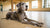 Quick Dog Treat Recipes: Easy Homemade Goodies for Your Furry Friend