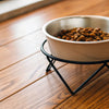 Should a Dog's Food Bowl Be Elevated?