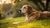 Should Dogs Eat After Exercise? Understanding Optimal Feeding Practices for Your Pup