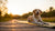 Should Dogs Eat Before or After Exercise?