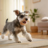Should Dogs Eat Flour? A Comprehensive Guide for Pet Owners