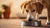 Should Dogs Eat Kibble or Wet Food? A Comprehensive Guide for Pet Owners