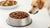 Should Dogs Eat Warm or Cold Food? The Best Temperatures for Doggy Dining-140409602287