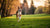 Should Dogs Exercise After Eating? Understanding the Best Practices for Your Furry Friend